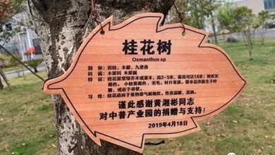 “種”希望！綠化中普，共建美麗家園